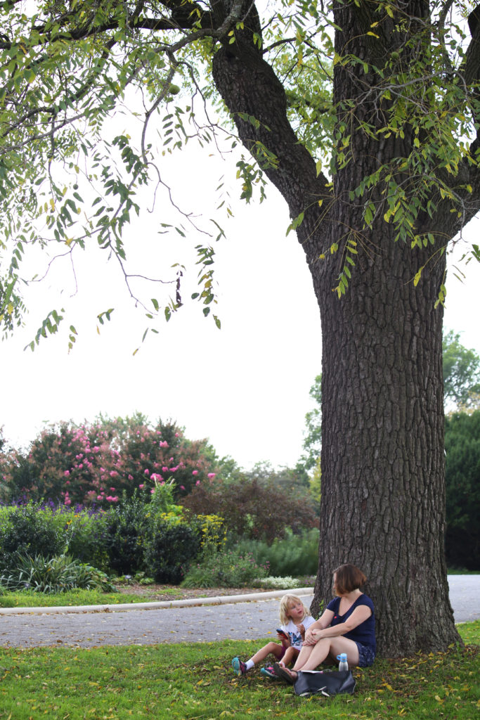 Donate A Tree Cylburn Arboretum AssociationCylburn Arboretum Association