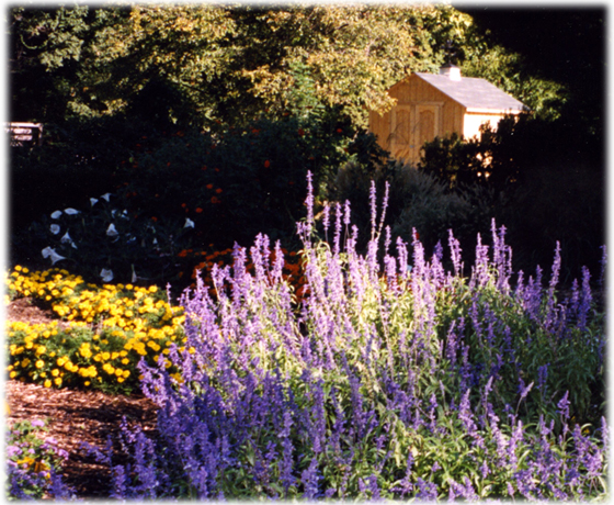colorful flowering gardens and school house