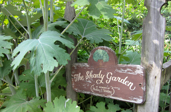 Shade garden at Cylburn Arboretum